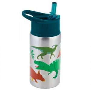 Stephen Joseph Stainless Steel Water Bottles Dino