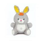 Winfun Play & Dance Bunny