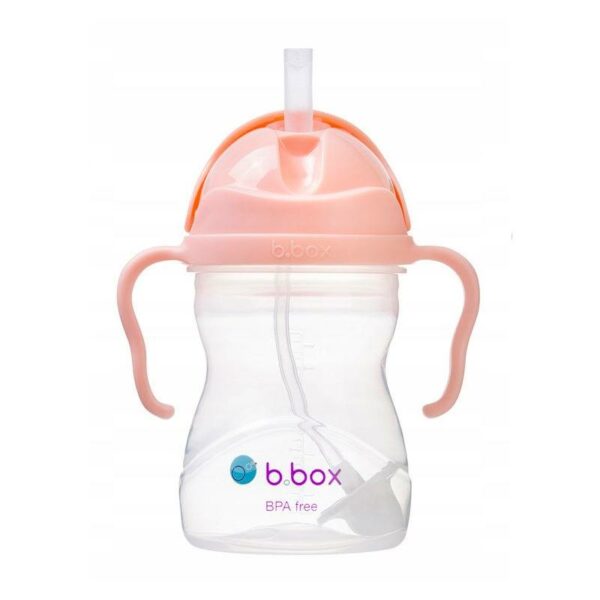 Bbox Sippy Cup - Tutti Frutti